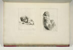 , image 2/2