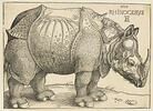 Rhinocéros, image 1/2