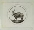 Caricature de Louis XVI, image 1/2