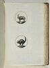 Caricature de Louis XVI, image 2/2