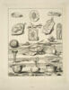 , image 1/2