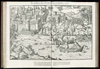Le massacre de Tours de juillet 1562, image 1/2
