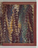 Frontispice, image 3/6