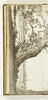 Paysage avec des arbres au premier plan et au loin les églises d'Oegstgeest, Valkenburg et Rijnsburg, image 1/2