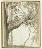 Paysage avec des arbres au premier plan et au loin les églises d'Oegstgeest, Valkenburg et Rijnsburg, image 2/2
