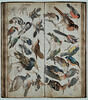 Etude d'oiseaux, image 2/2