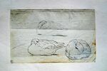 Trois études d'oiseau, la tête enfouie entre les ailes, image 2/2