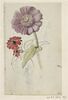 Etude de trois fleurs ; petit croquis de paysan de dos, tenant une pelle, image 1/2