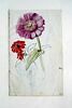 Etude de trois fleurs ; petit croquis de paysan de dos, tenant une pelle, image 2/2